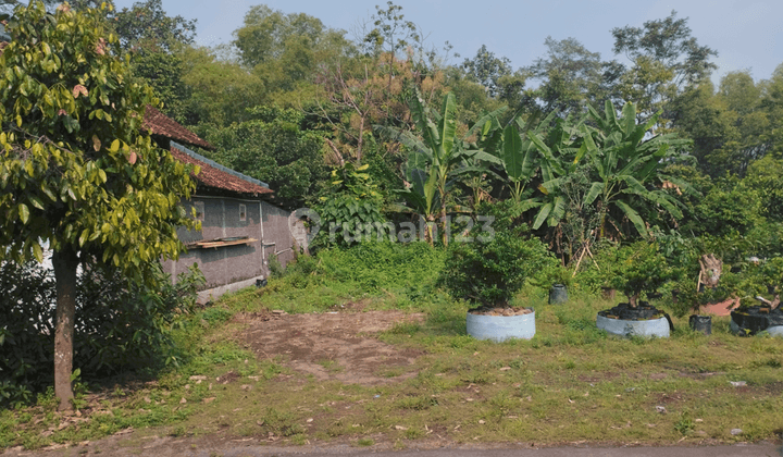 Info Tanah Bu Jogja Dekat Ugm, Pas Bangun Hunian Atau Kost 2