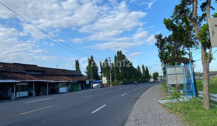 Timur Bandara Yia, Tanah Dijual Wates 1 Jt An 2