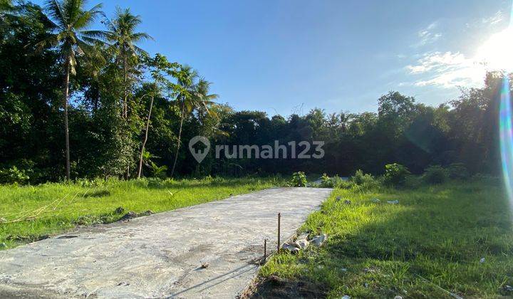 Timur Bandara Yia, Tanah Dijual Wates 1 Jt An 1