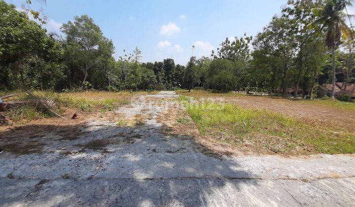 Tanah Murah Jogja Selatan Kampus Umy, Lingkungan Asri 2