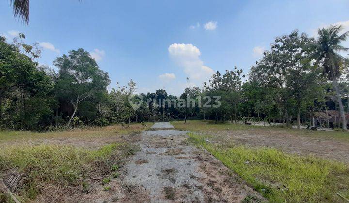 Layak Bangun Hunian, Tanah Jogja 7 Menit Kampus Umy 2