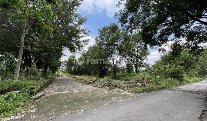 Tanah Jogja Dekat Kampus Uii, SHM Pekarangan 2