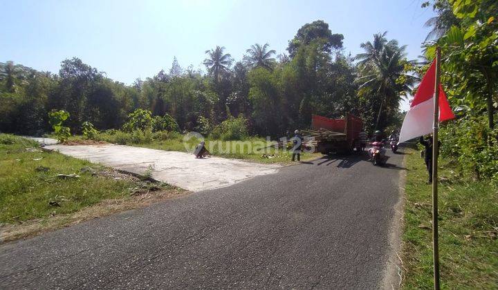 Pekarangan Jogja Dijual, Milik Pribadi, SHM P 2