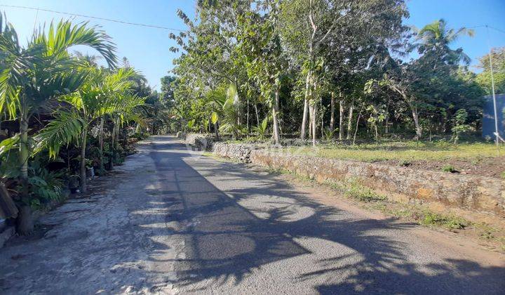  Kawasan Perkotaan Wates, Tanah Jogja Dijual, Siap Ajb 1