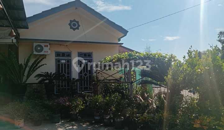 Rumah Besar untuk Usaha