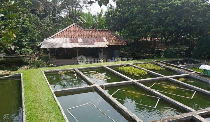 Rumah Villa Di Kp Kahuripan Kec Dramaga Kab Bogor, 100 Kolam Ikan Bersemen, Bawah Kaki Gunung Salak, Dekat Curug Luhur Dan Curug Nangka... 1