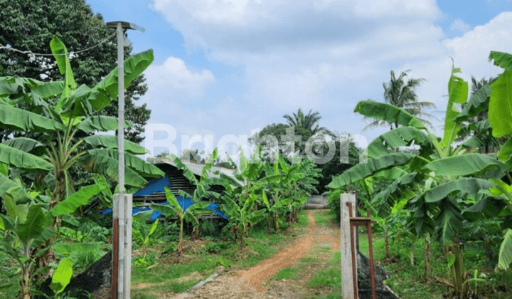 Tanah Datar Gunung Sindur  Ada Bangunannya Hitung Tanah Saja 2