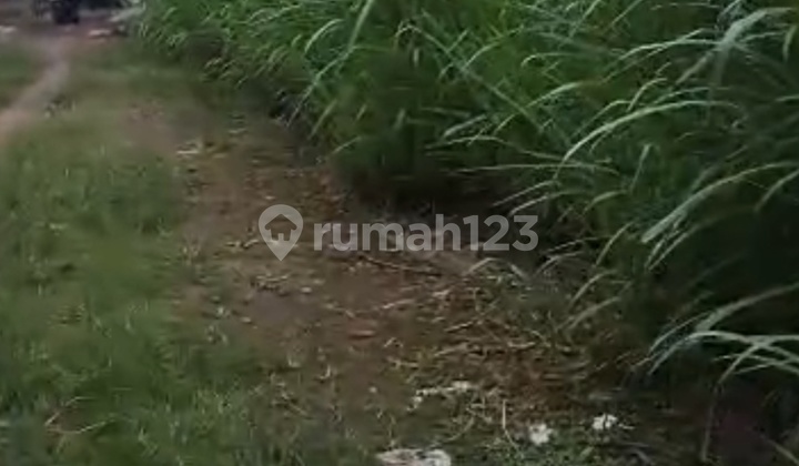 For Sale Provincial Road Zero Lot Location Ambulu Jember For Sale Provincial Road Zero Lot Location Ambulu Jember