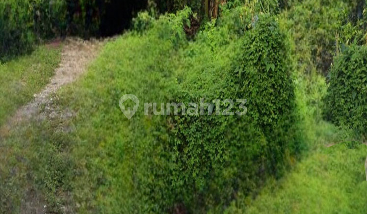 Dijual Tanah Sudah urukan Siap Bangun  Lokasi Putat Dekat Mayjen Sungkono dan HR. Muhammad  