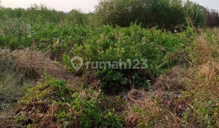 Land for Sale CHEAP Ready to Build Location Gununganyar Planned OERR UPN Road