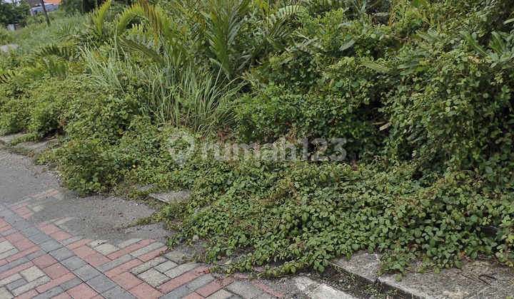 Dijual Tanah Murah Ktp Surabaya Lokasi Tambak Medokan Ayu Rencana Jalan Oerr dan Kampus Upn Dijual Tanah Murah Ktp Surabaya Lokasi Tambak Medokan Ayu Rencana Jalan Oerr dan Kampus Upn