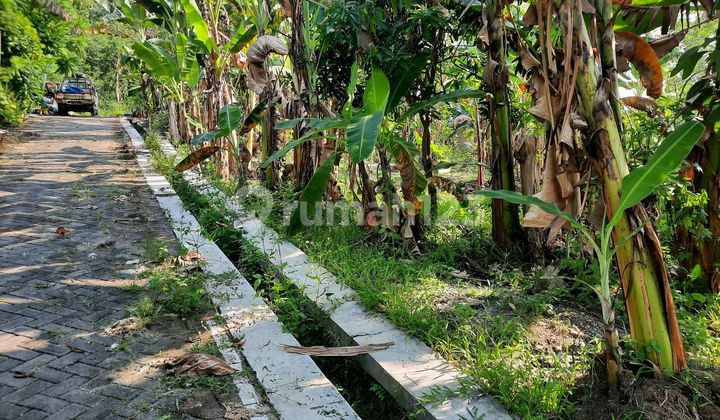 Tanah Kavling Dekat Kota 2