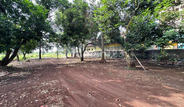 Tanah Siap Pakai Di Cikarang Selatan Bekasi (UM) Tanah Siap Pakai Di Cikarang Selatan Bekasi (UM)