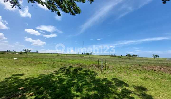 Kavling Mozart Golf Island Uk 700m, Posisi Boulevard