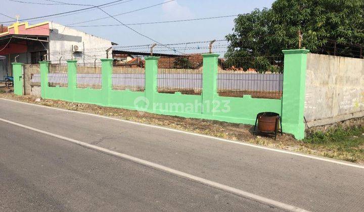 Lahan Oke Sudah Ditembok Jalan Raya Bojonegara Zona Industri 1