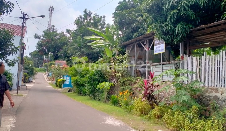 Tanah Jalan Sybromalisi Citangkil Bebas Banjir