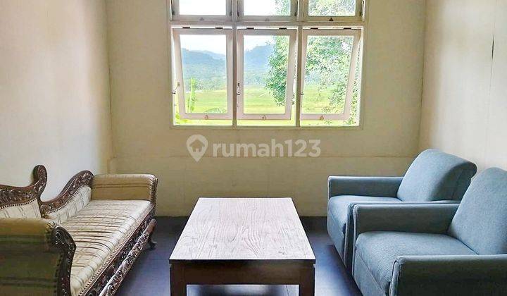 Villa Dan Sawah Aktif Kawasan Wisata Jalan Raya Labuan 8