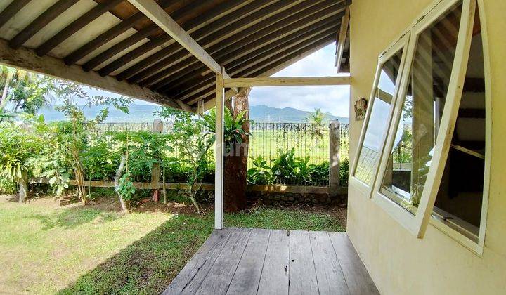 Villa Dan Sawah Aktif Kawasan Wisata Jalan Raya Labuan 11