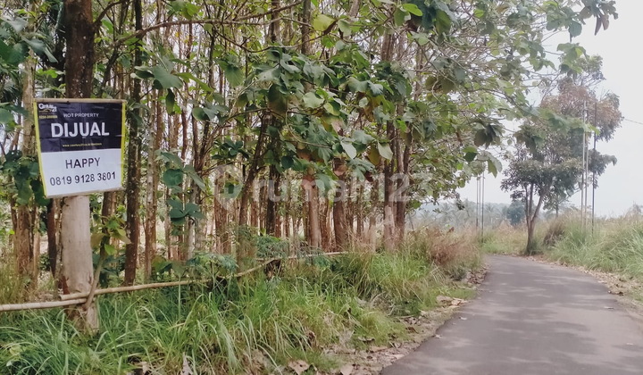 Lahan Lingkar Selatan Bonus Pohon Jati Akses Mobil