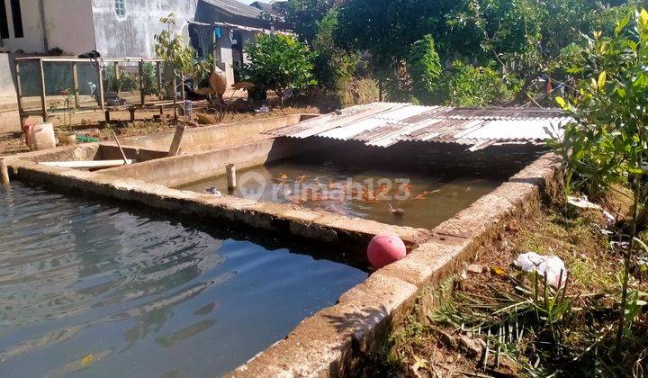 Villa Plus Tanah Dan Kolam Ikan Wisata Alam Citaman Pandeglang 10