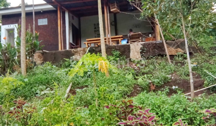 Lahan Harga Miring Waringinkurung Jual Bu 4