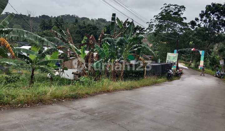 Lahan 3 Hektar Kp Pedali Waringinkurung Dekat Lingkar Selatan 5