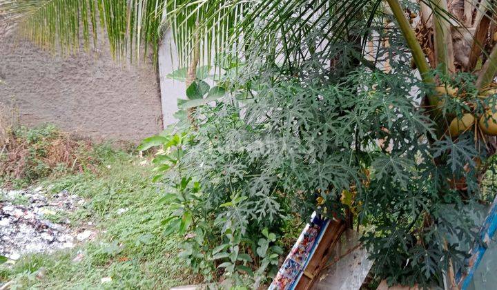 Hunian Plus Kios 3 Unit Kavling Cilegon Dekat Kantor Kecamatan 9