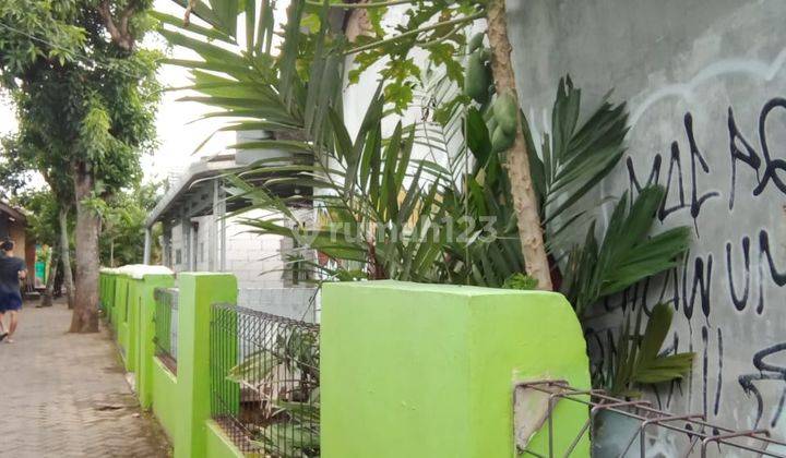 Bedeng 3 Pintu Luwung Sawo Cilegon Harga Miring 2