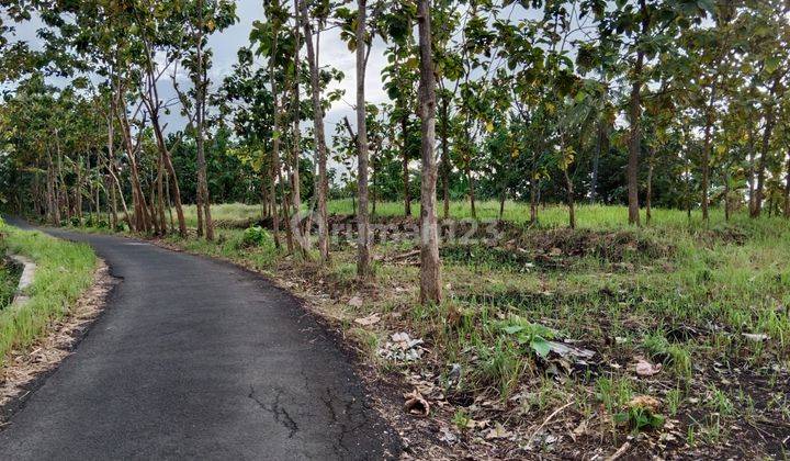 Tanah Bulakan Cibeber Sedang Turun Harga 1