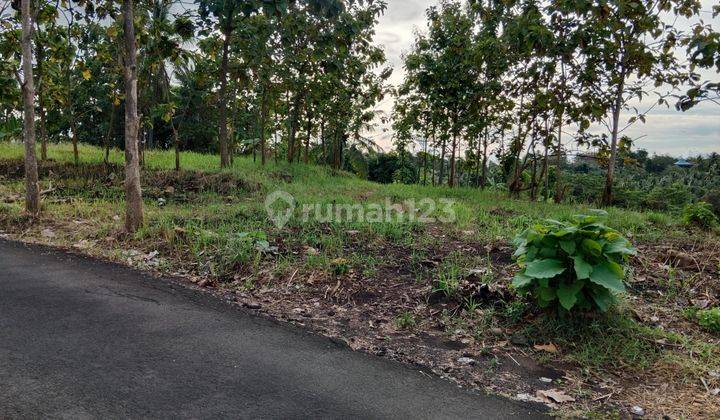 Tanah Bulakan Cibeber Sedang Turun Harga 2