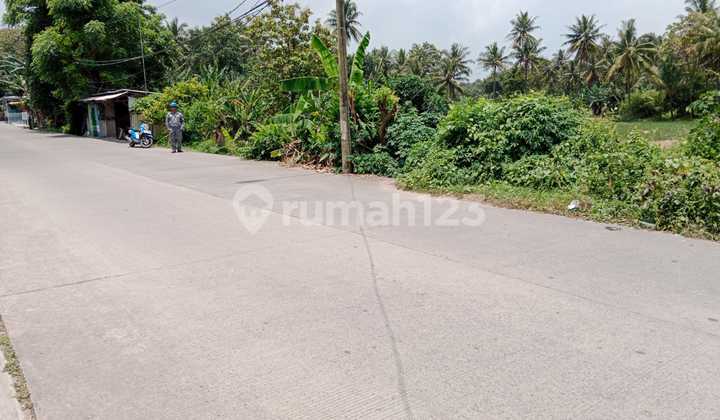 Tanah Sawah Samang Raya Dekat Kiec Dan Polsek Ciwandan 2