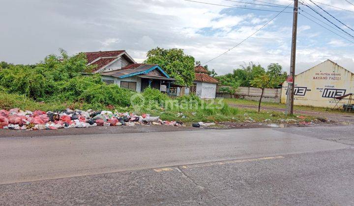 Tanah Bojonegara 1,8 Hektar Strategis Nempel Jalan Utama 2