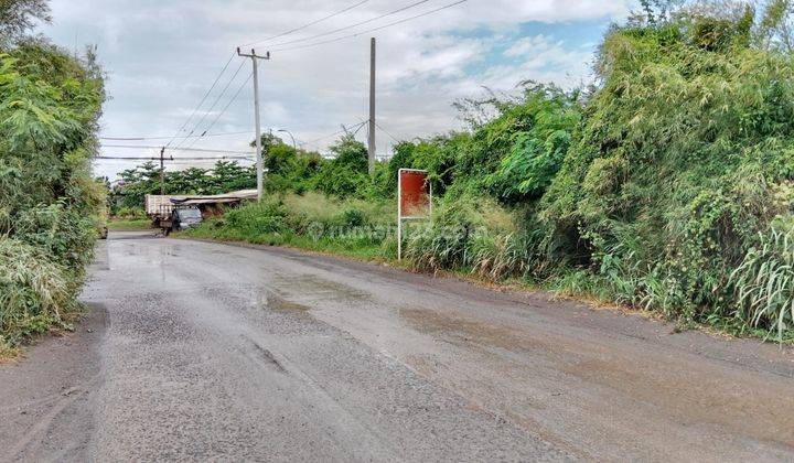 Tanah Bojonegara Kawasan Industri Dekat Tol 1