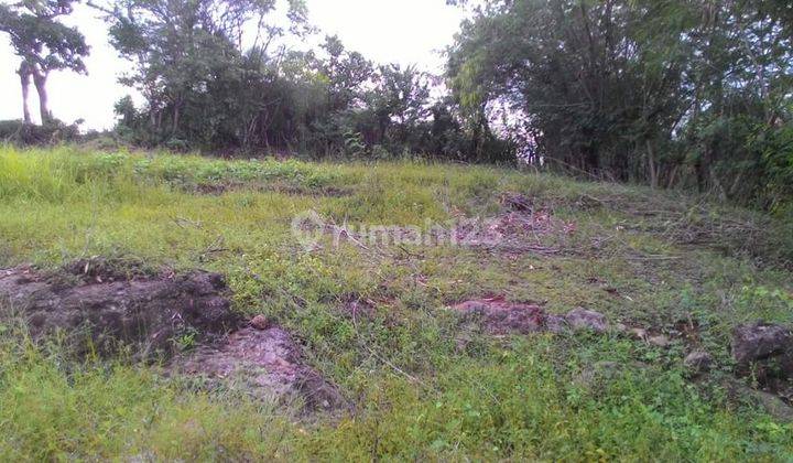 Tanah Kavling Bojonegara Zona Industri Dekat Sekolah 2