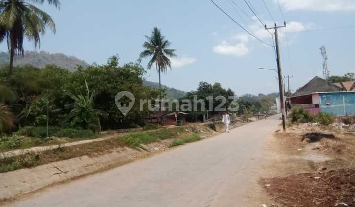Tanah Luas Multifungsi Dekat Media Raya Pejaten Tanah Luas Multifungsi Dekat Media Raya Pejaten
