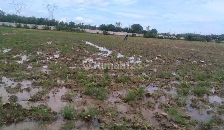 Tanah Sawah Strategis Dekat Exit Tol Cilegon Timur 1