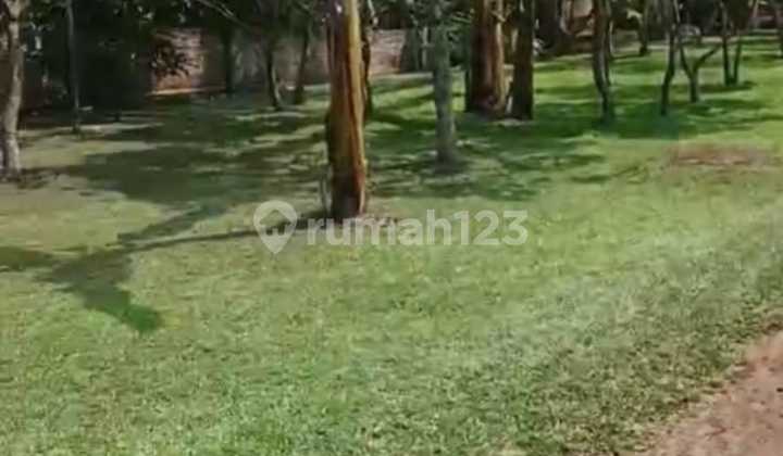 Lahan Produktif Mancak Cocok untuk Villa