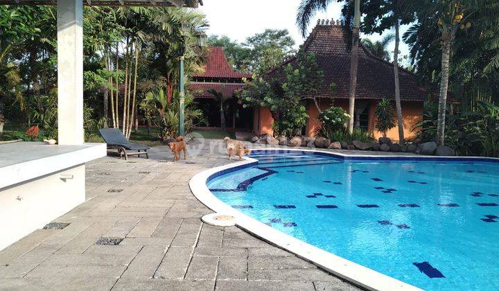 Villa Dijual Joglo Asri Di Pakem, Sleman, Jogjakarta 5