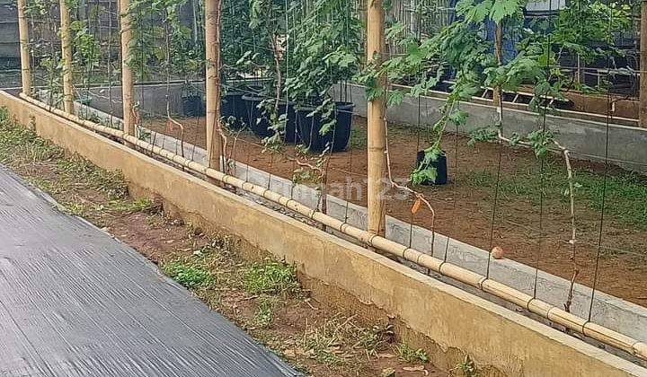 Tanah Dijual Di Ciseeng, Babakan Perigi Bogor 1