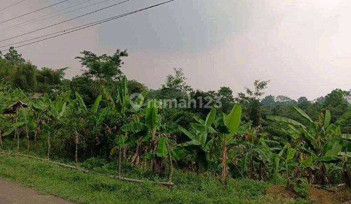 Tanah Kebun Dengan View Pegunungan Persawahan, Leuwisadeng 2