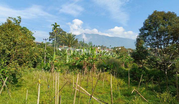 Dijual Cepat Tanah View Gunung Salak, Gunung Pangrango 2