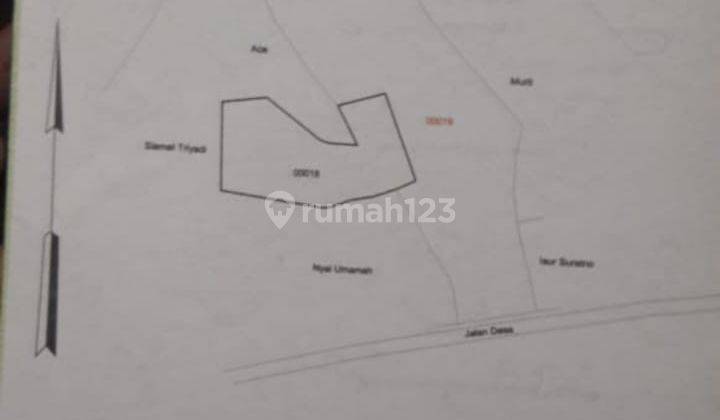 Dijual Cepat Tanah, Suasana Asri, Di Bogor 2