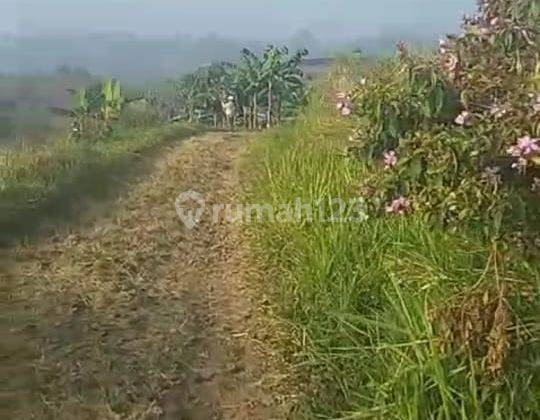 Dijual Lahan Kavling di Cipanas Cianjur 1