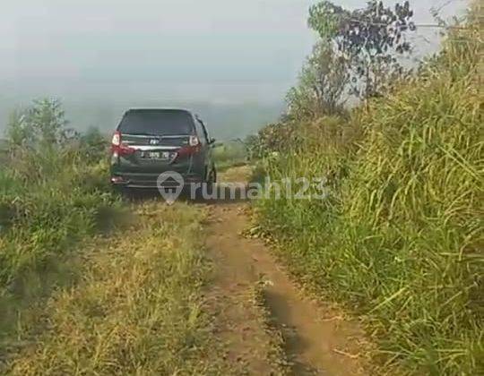 Dijual Lahan Kavling di Cipanas Cianjur 2