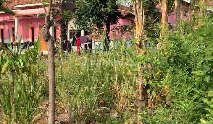Tanah Pinggir Jalan Siap Bangun Trangkil Mojoagung 2