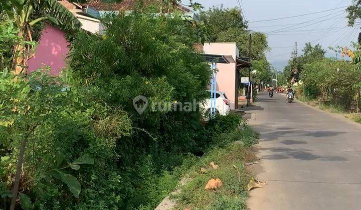 Tanah Pinggir Jalan Siap Bangun Trangkil Mojoagung 1