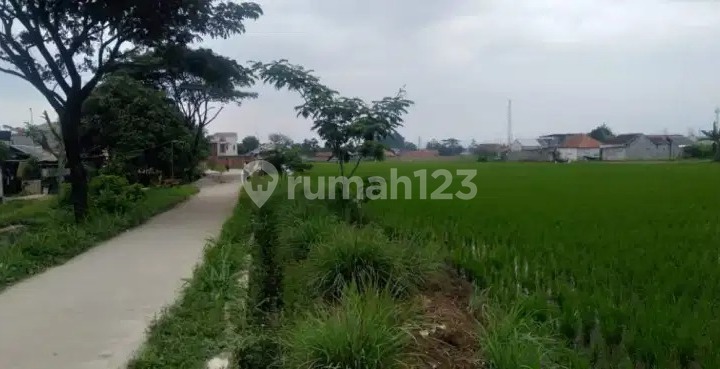 Sawah di Sapan Cipatik Bandung Cck Utk Usaha Dekat Pabrik Kerupuk