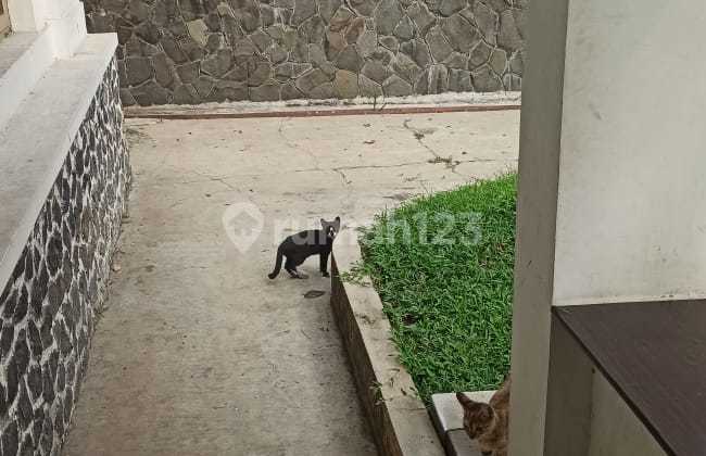 Harga Masuk Akal Rumah Bangunan Belanda di Sayap Riau Bandung 2