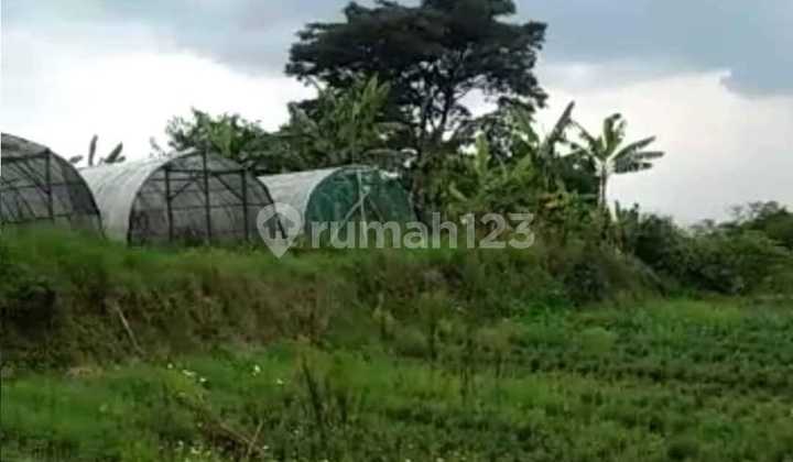 Tanah bisa untuk Bisnis Wisata di Area Eldorado Lembang Bandung