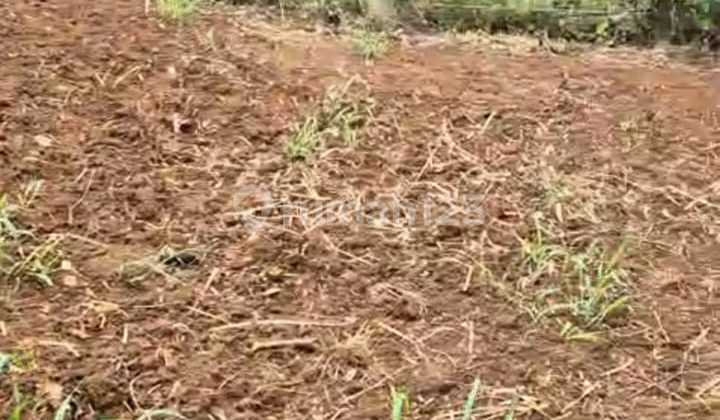 Roadside Land in Rancakendal, Cigadung Bandung Suitable for Villa or House